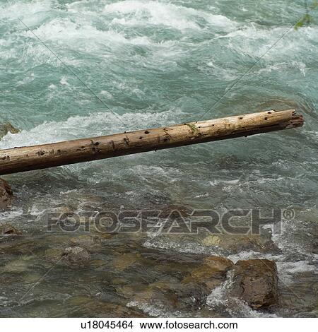 Log View Large Photo Image Picture - Log. Fotosearch