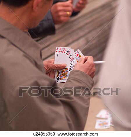 Man playing cards in San Francisco View Large Photo Image Stock Photo - Man playing cards in San Francisco. Fotosearch