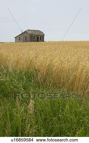 Manitoba Prairie Scenes View Large Photo Image Picture - Manitoba Prairie Scenes. Fotosearch