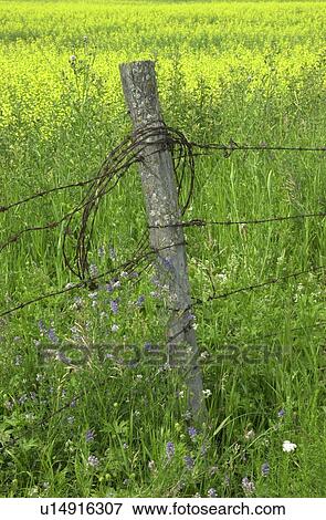 Stock Photo - Manitoba Prairie Scenes. Fotosearch