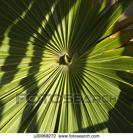 Mexico - Mayan Riviera View Large Photo Image Stock Image - Mexico - Mayan Riviera. Fotosearch