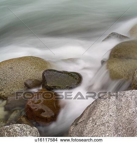 Nature trails in British Columbia. Canada View Large Photo Image Picture - Nature trails in British Columbia. Canada. Fotosearch