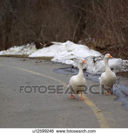Stock Photograph - Nature trails in British Columbia. Canada. Fotosearch