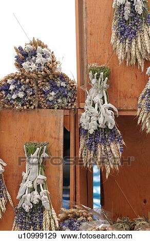 Stock Photo - New York City - Flowers in Soho. Fotosearch