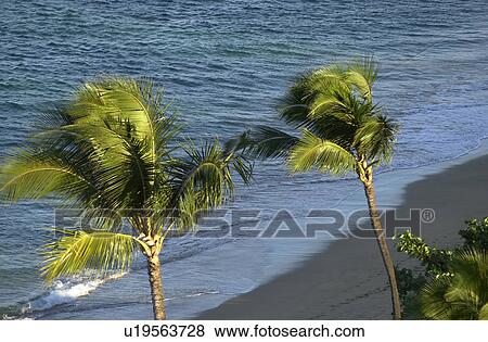 Stock Photo - Ocean View - Maui - Hawaiian Islands. Fotosearch