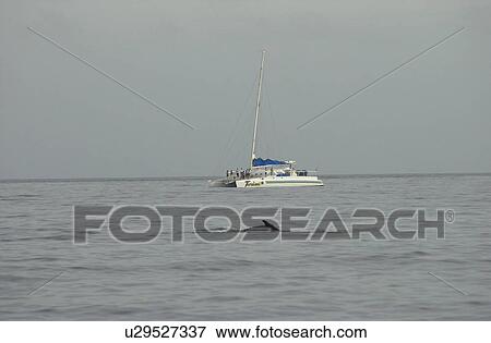 Stock Photo - Ocean View - Maui - Hawaiian Islands. Fotosearch