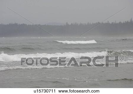 Ocean waves, Wickaninnish Beach, Vancouver Island, Canada View Large Photo Image Stock Image - Ocean waves, Wickaninnish Beach, Vancouver Island, Canada. Fotosearch