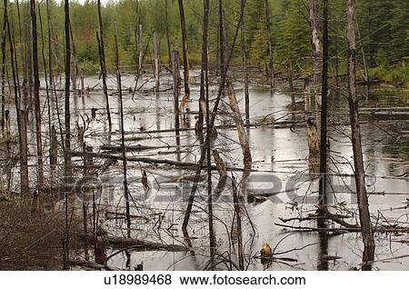 Oil Sands fields View Large Photo Image Stock Photo - Oil Sands fields. Fotosearch