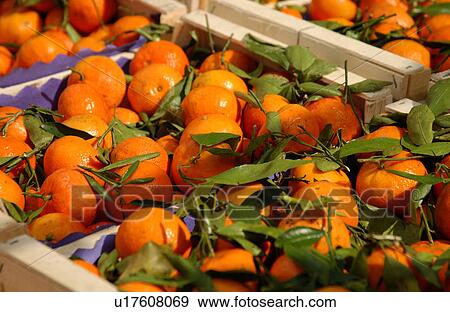 Portobello Market - London, England View Large Photo Image Stock Photo - Portobello Market - London, England. Fotosearch
