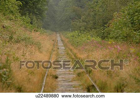 Stock Image - Railroad tracks, Shawnigan Lake, Vancouver Island, Canada. Fotosearch