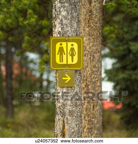Stock Image - Rocky Mountains, Jasper National Park, Canada. Fotosearch