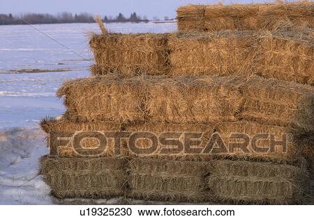 Rural area around Gimli View Large Photo Image Stock Image - Rural area around Gimli. Fotosearch
