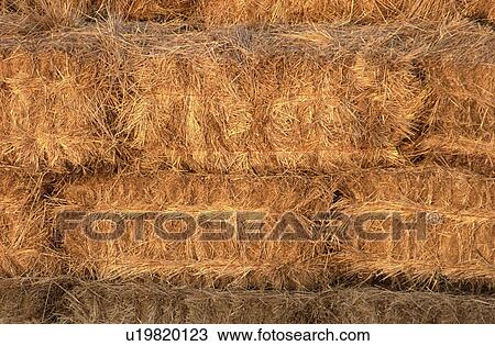 Rural area around Gimli View Large Photo Image Stock Image - Rural area around Gimli. Fotosearch