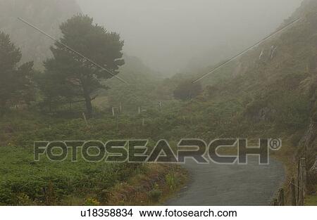 Rural Ireland - foggy countryside road View Large Photo Image Picture - Rural Ireland - foggy countryside road. Fotosearch