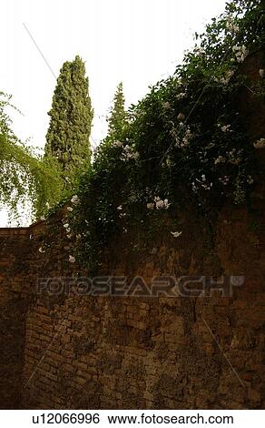Stock Photograph - San Gimignano, Tuscany - Italy. Fotosearch