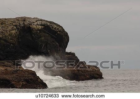Stock Image - Seascape view, Pacific Rim National Park, Vancouver Island, Canada. Fotosearch