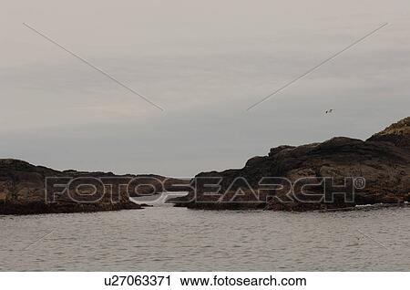 Seascape view, Pacific Rim National Park, Vancouver Island, Canada View Large Photo Image Stock Image - Seascape view, Pacific Rim National Park, Vancouver Island, Canada. Fotosearch