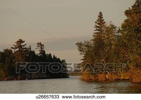 Shoreline at Lake of the Woods View Large Photo Image Stock Image - Shoreline at Lake of the Woods. Fotosearch