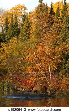 Stock Image - Shoreline of Autumn Colors. Fotosearch