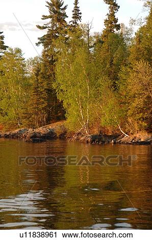 Shoreline of Lake View Large Photo Image Stock Image - Shoreline of Lake. Fotosearch