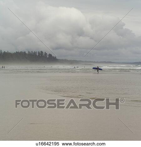 Shoreline of Long Beach, Pacific Rim Park, Vancouver Island, Canada View Large Photo Image Stock Photography - Shoreline of Long Beach, Pacific Rim Park, Vancouver Island, Canada. Fotosearch