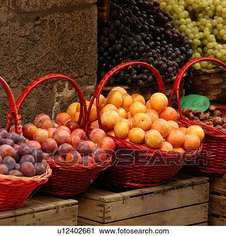 Stock Image - Siena, Italy - Tuscany. Fotosearch
