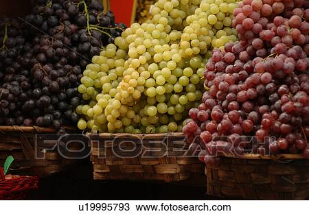 Stock Image - Siena, Italy - Tuscany. Fotosearch