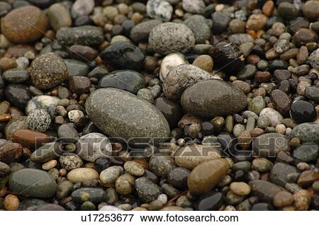 Stock Photo - Smooth rocks on edge of shore, South Beach Trail, Vancouver Island, Canada. Fotosearch