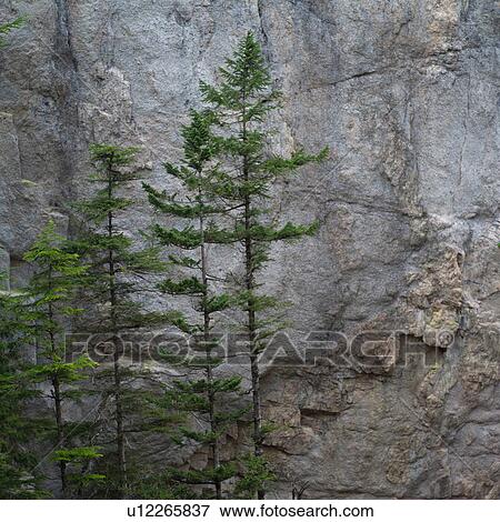 Squamish - Vancouver, British Columbia View Large Photo Image Stock Photo - Squamish - Vancouver, British Columbia. Fotosearch