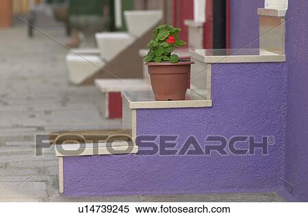 Stair to a house in Venice, Burano, Italy View Large Photo Image Stock Photography - Stair to a house in Venice, Burano, Italy. Fotosearch