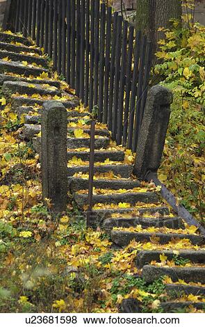 Stairs with fallen dry leaves in Prague View Large Photo Image Stock Photo - Stairs with fallen dry leaves in Prague. Fotosearch