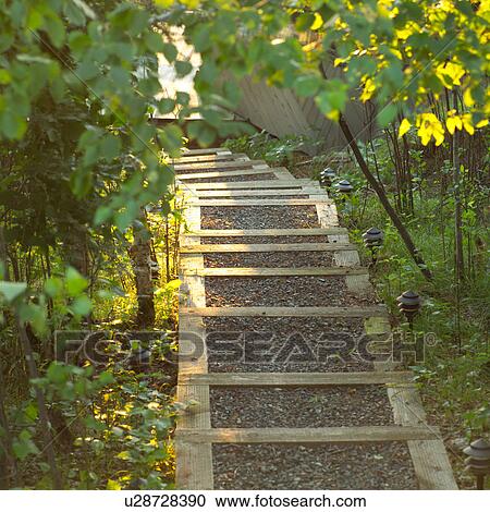 Stairway path in forest View Large Photo Image Stock Image - Stairway path in forest. Fotosearch