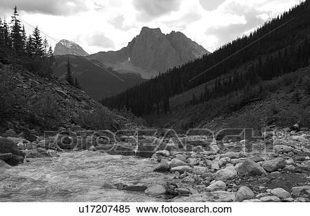 Stream running at the base of a mountain (black and white), Rocky Mountains, Canada View Large Photo Image Stock Photography - Stream running at the base of a mountain (black and white), Rocky Mountains, Canada. Fotosearch