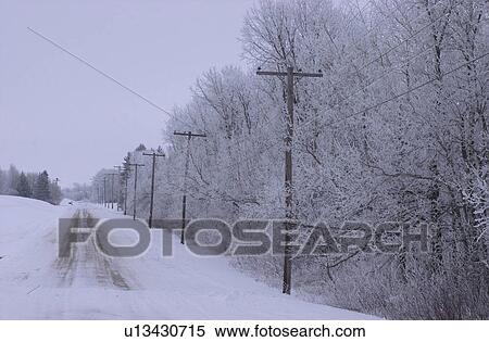 Trees in Winter View Large Photo Image Stock Photography - Trees in Winter. Fotosearch