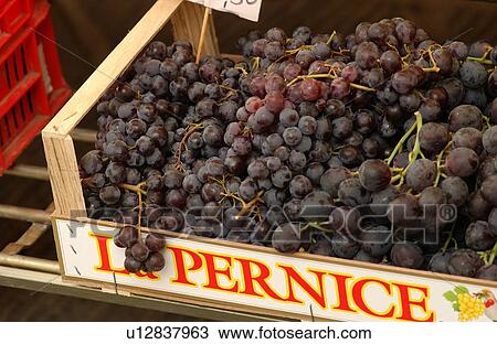 Tuscany, Italy View Large Photo Image Stock Image - Tuscany, Italy. Fotosearch