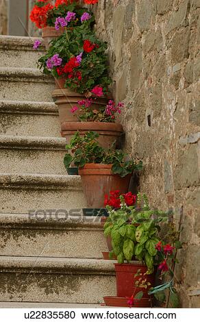 Stock Image - Tuscany, Italy. Fotosearch