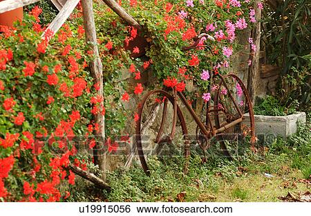 Stock Photograph - Tuscany, Italy. Fotosearch