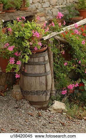 Tuscany, Italy View Large Photo Image Stock Photography - Tuscany, Italy. Fotosearch
