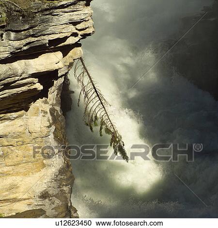 Stock Image - Via Rail Passenger Train, Jasper National Park, Canada. Fotosearch