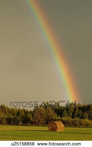 View of a rainbow over a farm View Large Photo Image Stock Photo - View of a rainbow over a farm. Fotosearch
