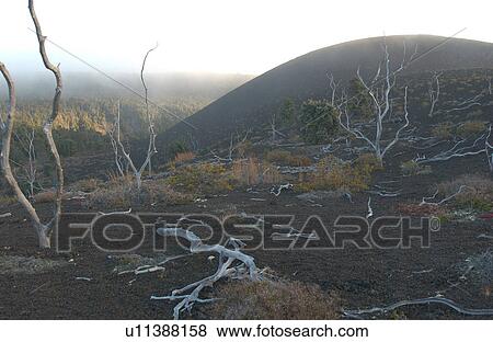 Stock Photo - Volcano National Park - Big Island of Hawaii - Desolation Trail. Fotosearch