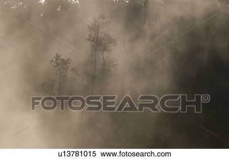 Volcano National Park - Big Island of Hawaii - Steam Vents and Sulpher Bank View Large Photo Image Stock Photography - Volcano National Park - Big Island of Hawaii - Steam Vents and Sulpher Bank. Fotosearch