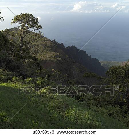 Stock Image - Waimea Canyon - Kauai, Hawaii. Fotosearch