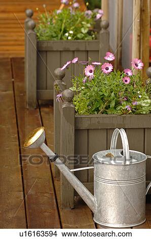 Picture - Watering can and flower planters. Fotosearch