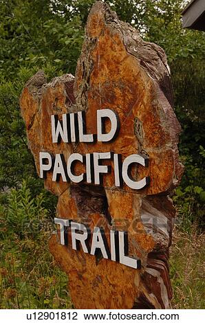 Wild Pacific Trail sign, Pacific Rim National Park, Vancouver Island, Canada View Large Photo Image Stock Image - Wild Pacific Trail sign, Pacific Rim National Park, Vancouver Island, Canada. Fotosearch