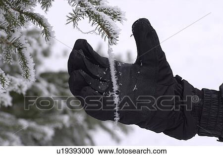 Stock Image - Winnipeg Manitoba, Canada Winter Scenes. Fotosearch