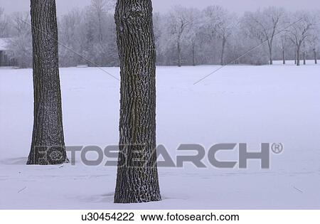 Stock Image - Winnipeg Manitoba, Canada Winter Scenes. Fotosearch