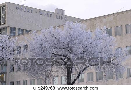 Winnipeg Manitoba, Canada Winter Scenes View Large Photo Image Stock Photo - Winnipeg Manitoba, Canada Winter Scenes. Fotosearch