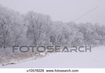 Stock Photograph - Winnipeg Manitoba, Canada Winter Scenes. Fotosearch