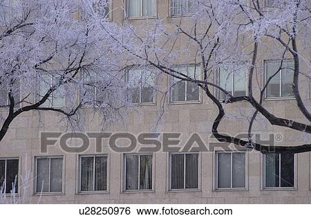 Stock Photograph - Winnipeg Manitoba, Canada Winter Scenes. Fotosearch